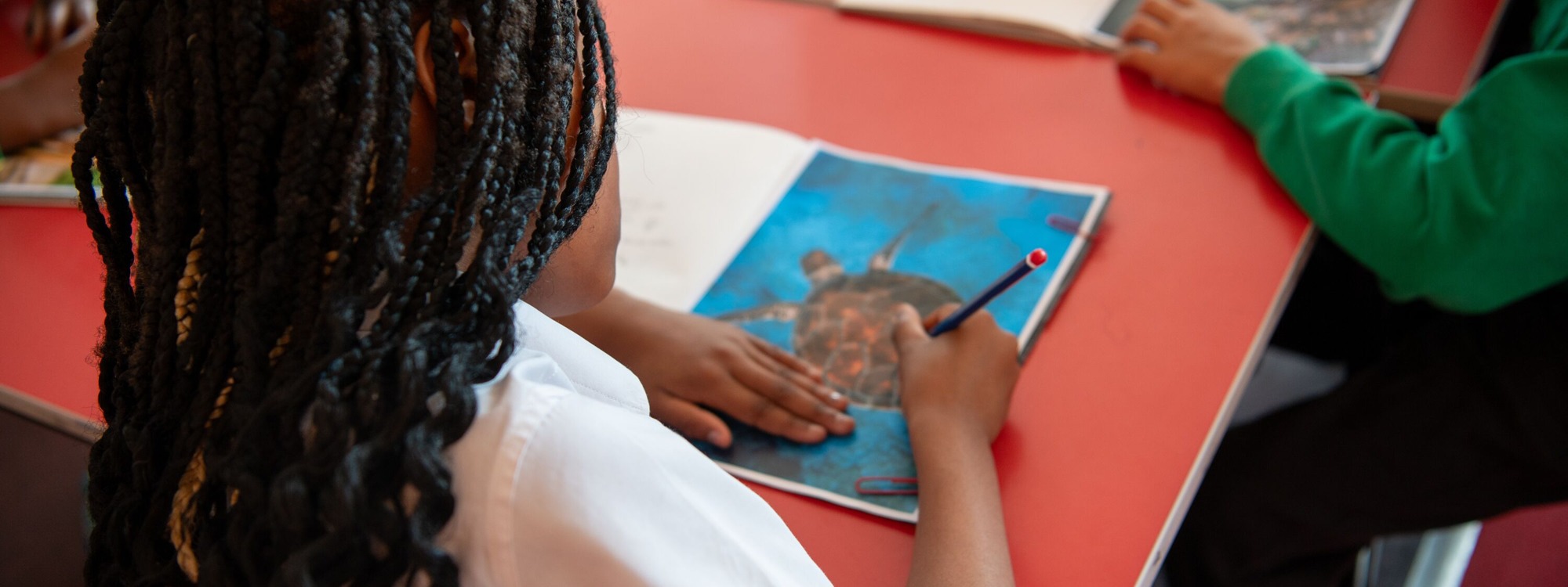 Goose Green Primary School Student in Art Class